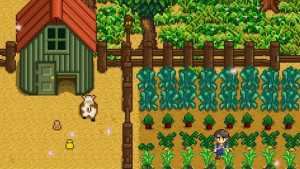 Stardew Valley Farm and home.